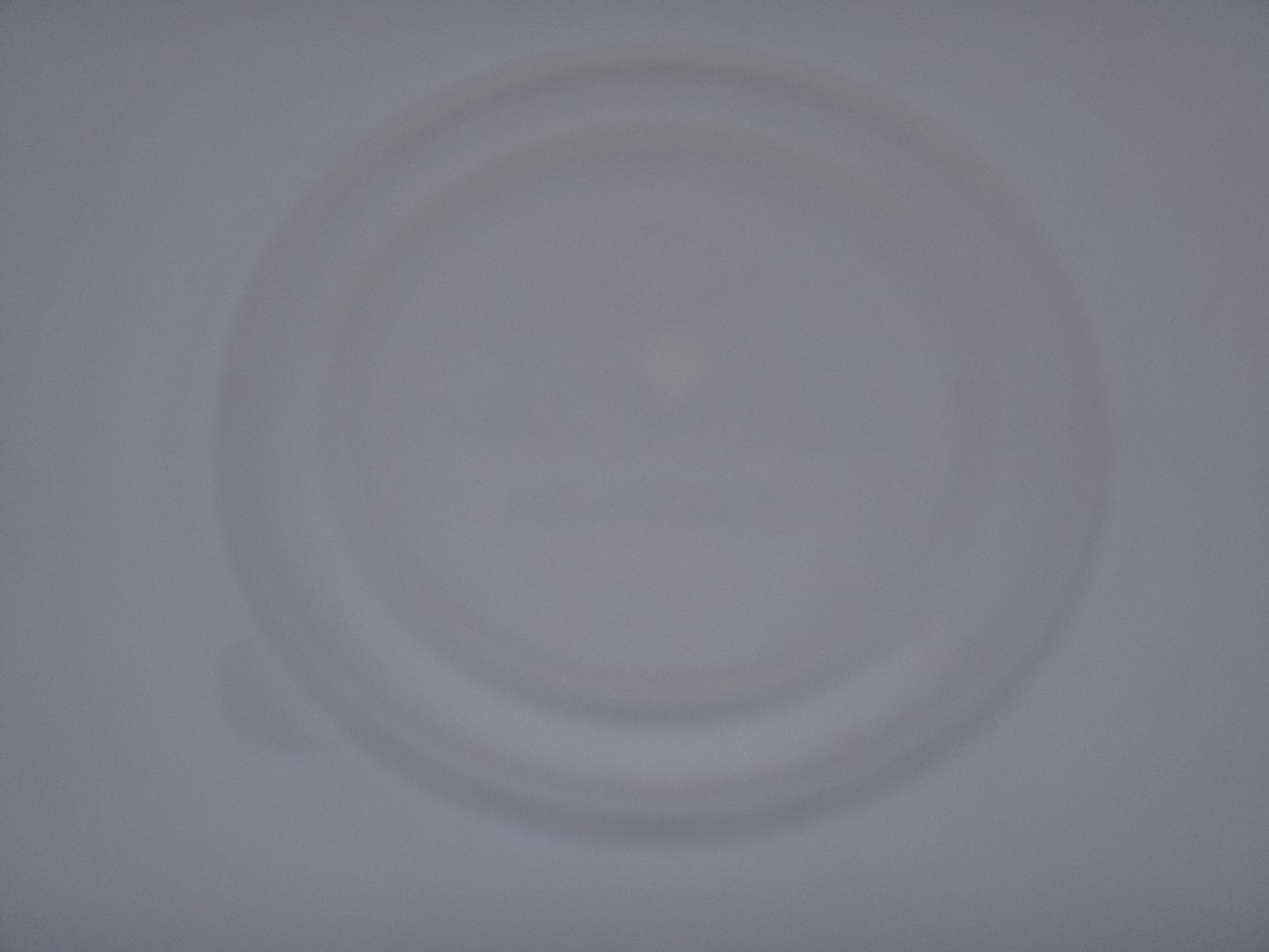 DSC00732